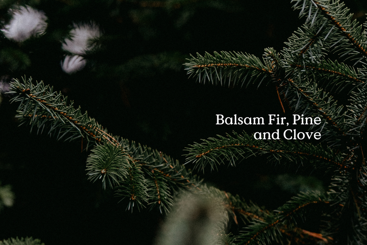 Fir