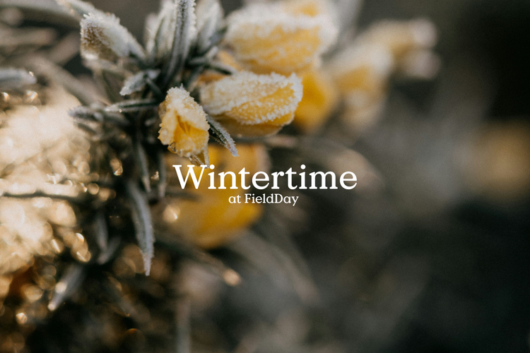 Wintertime