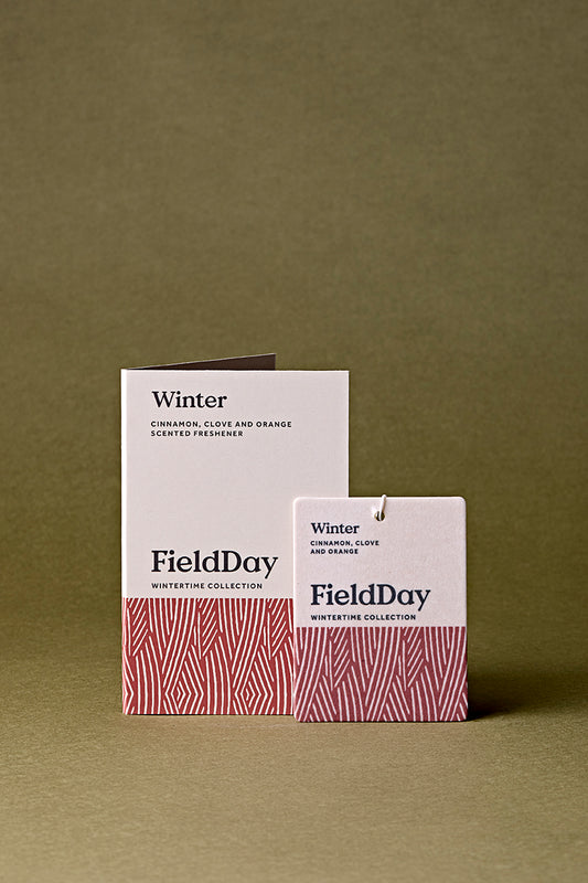Classic Winter Freshener Pack of 12